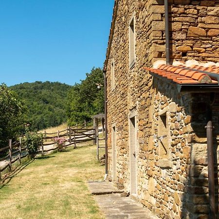 Agriturismo Con Piscina In Toscana, Tribbiano Arezzo Exteriér fotografie