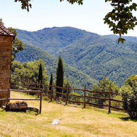Agriturismo Con Piscina In Toscana, Tribbiano Arezzo Exteriér fotografie