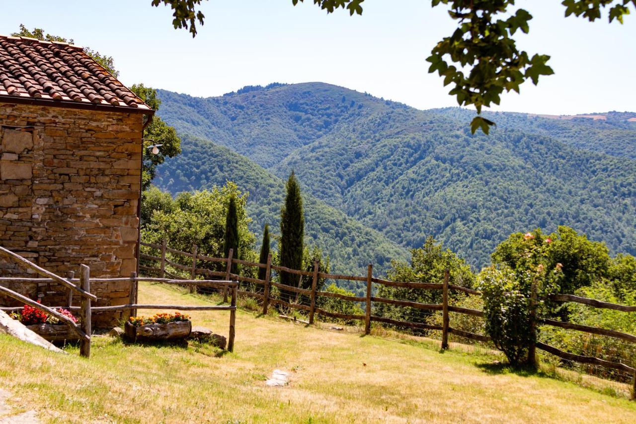Agriturismo Con Piscina In Toscana, Tribbiano Arezzo Exteriér fotografie