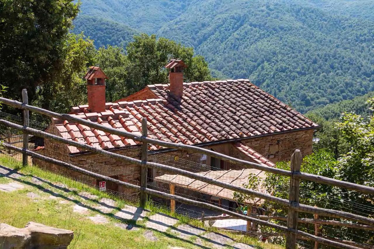 Agriturismo Con Piscina In Toscana, Tribbiano Arezzo Exteriér fotografie