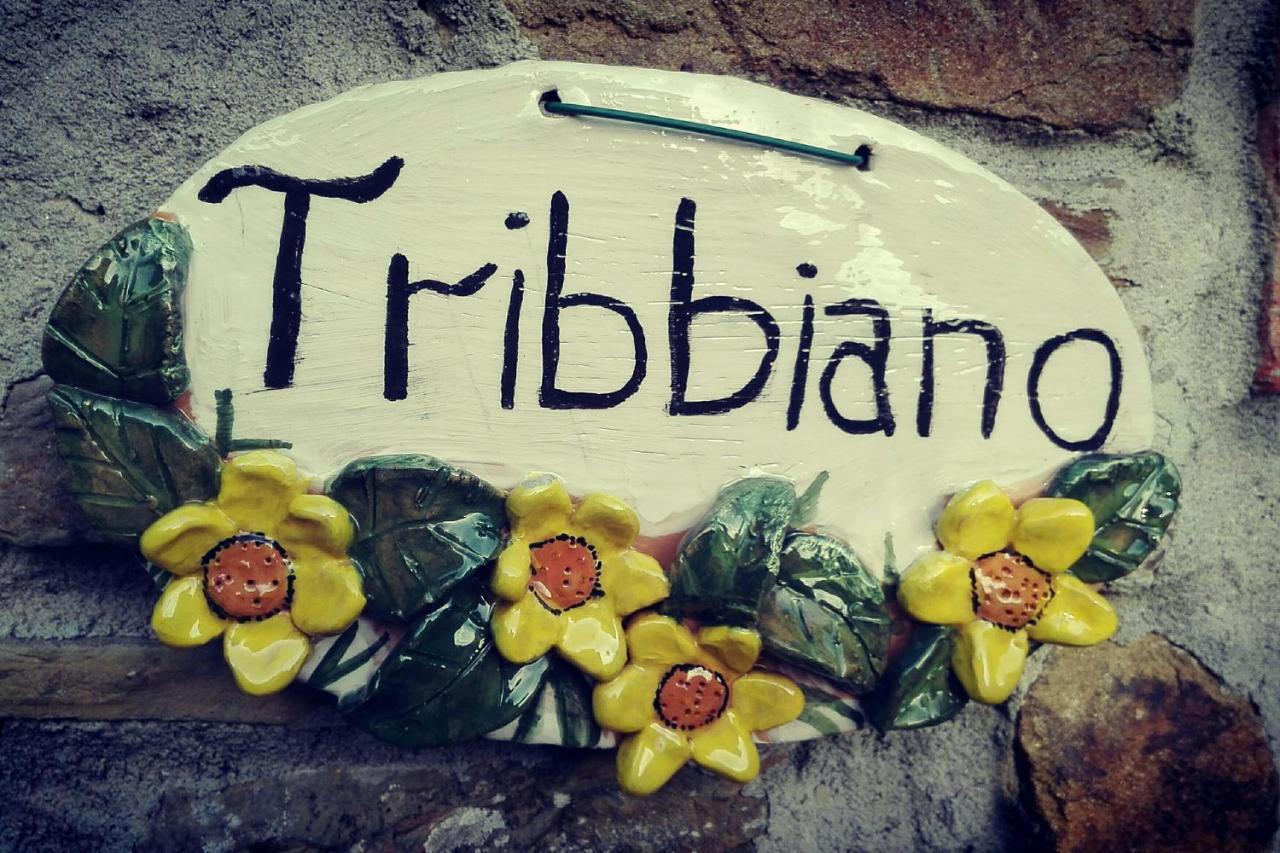 Agriturismo Con Piscina In Toscana, Tribbiano Arezzo Exteriér fotografie